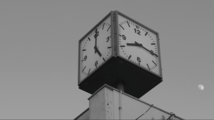 video-timelapsus-neli-ruzic-realiziran-u-sklopu-projekta-u-splitu-2017-_screenshot-iz-videa