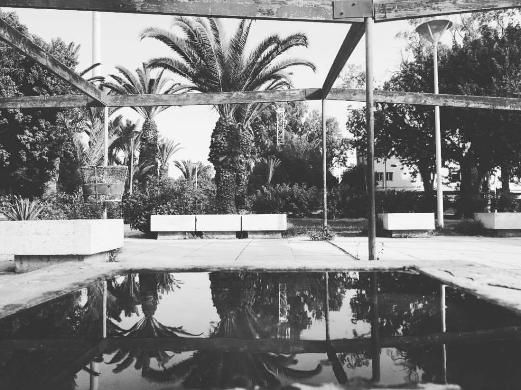 6-industrijski-vrt-agadir