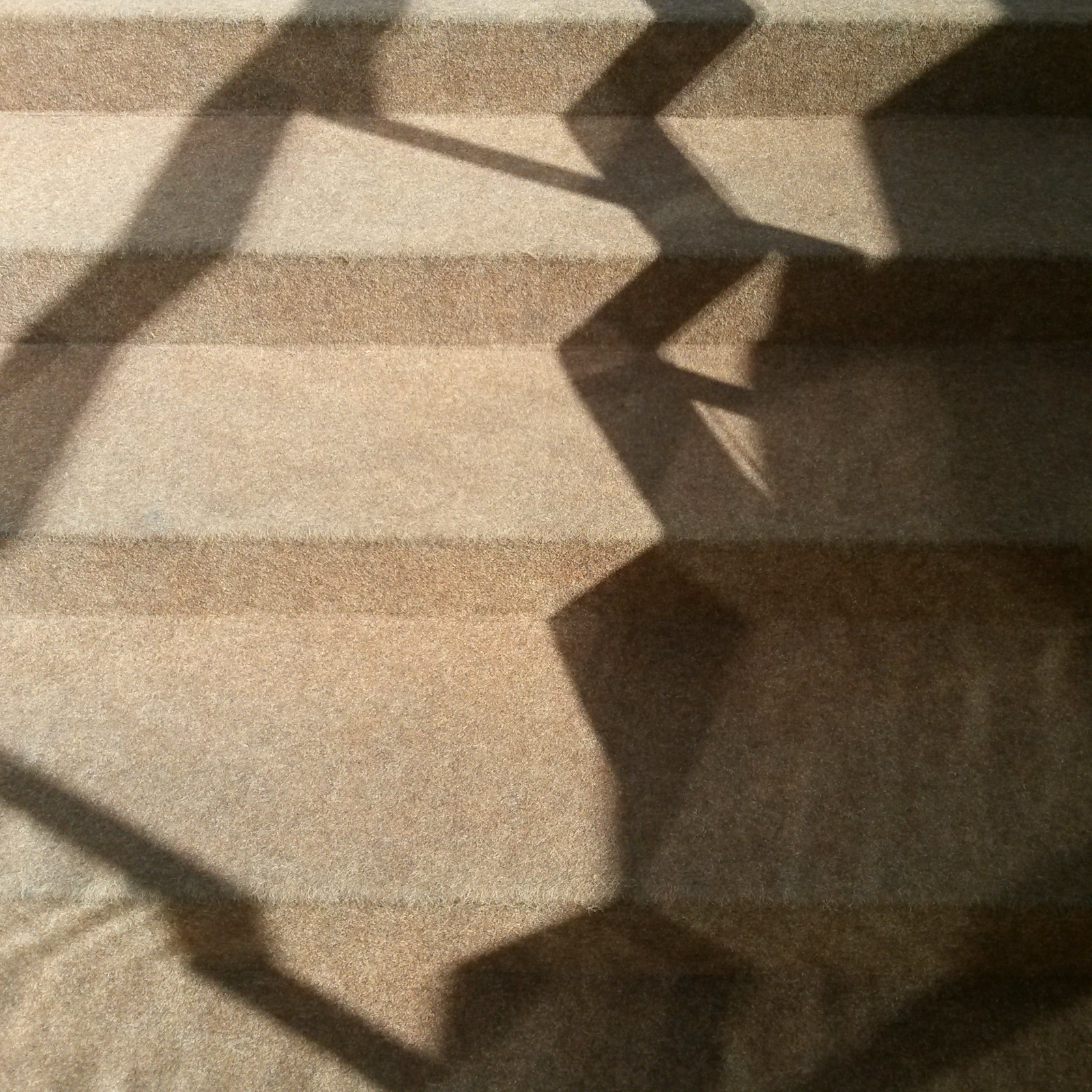 20150308_133307