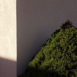 20170225_144954-01-2