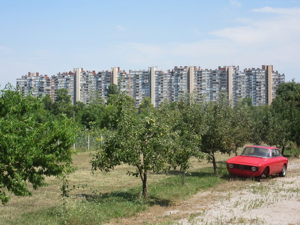 9-plava-potkova-sasa-simpraga
