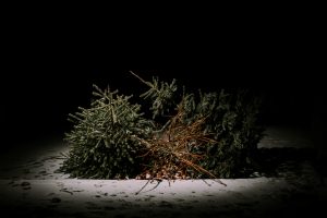 christmasleftovers-08