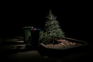 christmasleftovers-14