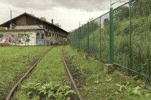 stovise-trava-raste_2