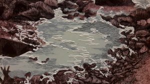 11-detalj-sume-1