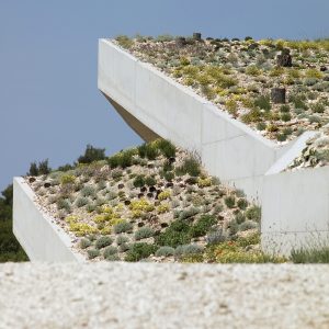 issa-megaron-10