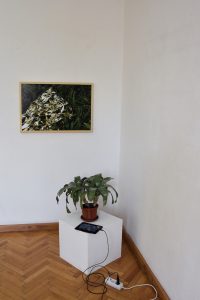 ivana-tkalcic-paradise-now_-11