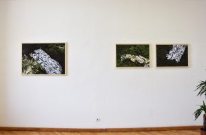 ivana-tkalcic-paradise-now_-12