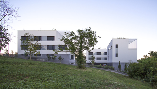 foto_1